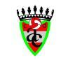 Escudo de CD Alonso Cano