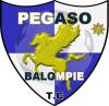 Escudo de CD Pegaso Balompié Tres Cantos
