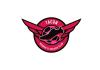 Escudo de CD Tacon