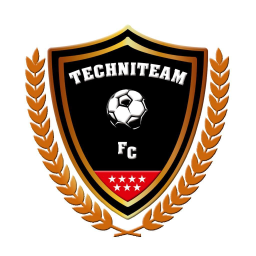 Escudo de CDE Techniteam Móstoles