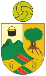 Escudo de CF Hoyo de Manzanares