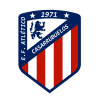 Escudo de Escfutat Casarrubuelos